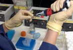Fármacos biosimilares, la próxima batalla por el mercado
