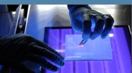 Un fármaco en experimentación conserva la fertilidad tras quimioterapia