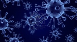 Estados Unidos: Iniciativa estatal para crear nuevos antibióticos