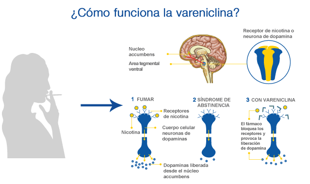 Confederación Farmacéutica Argentina – Vareniclina es Confederación Farmacéutica Argentina – Vareniclina es
