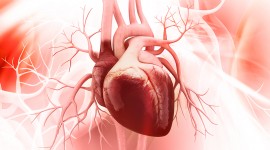 Revisión de la FDA: Aumenta el riesgo de muerte en pacientes con enfermedad cardíaca que utilizaron claritromicina