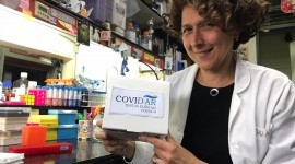 Investigadores argentinos logran desarrollar el primer test serológico del país para el SARS-CoV-2